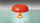 nessino orange
